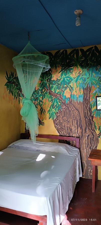 Hostel La Gloria Ometepe ภายนอก รูปภาพ