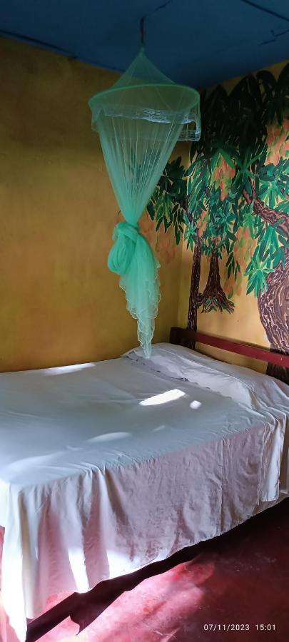Hostel La Gloria Ometepe ภายนอก รูปภาพ