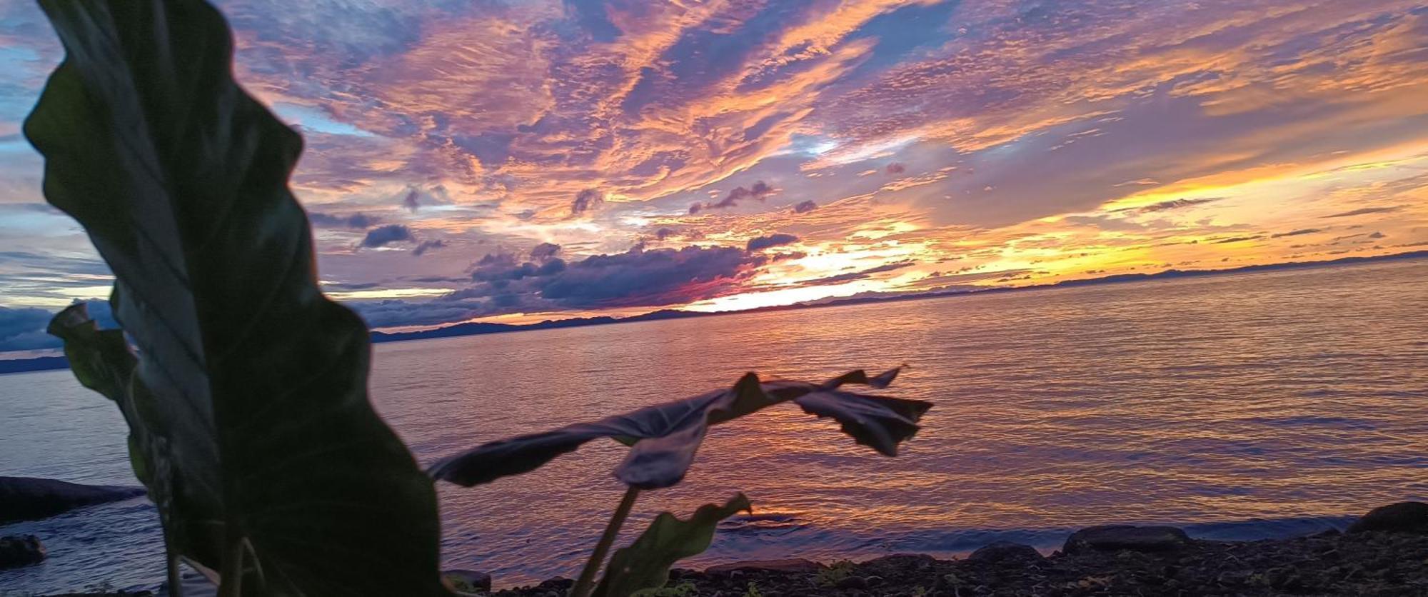 Hostel La Gloria Ometepe ภายนอก รูปภาพ