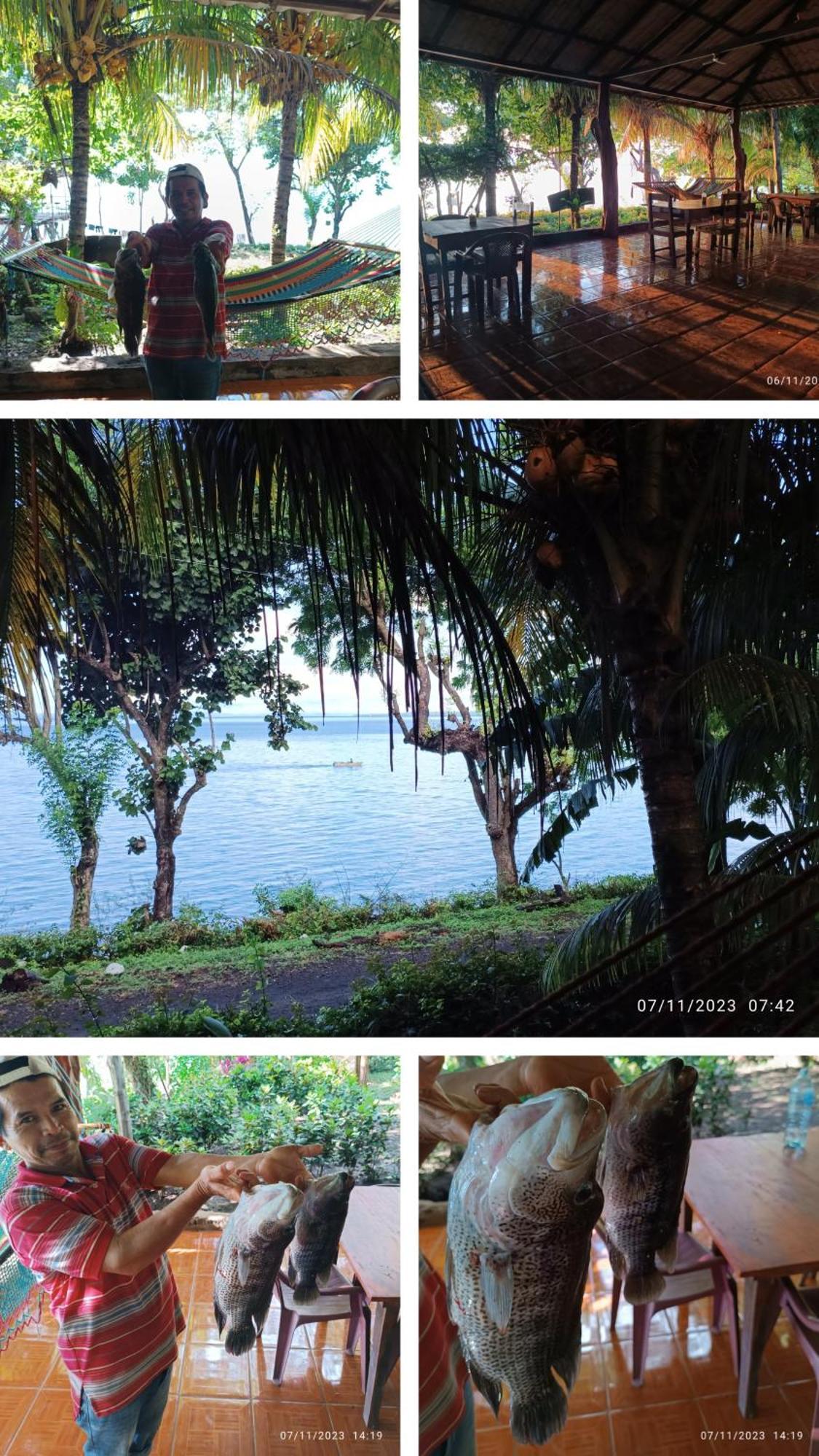 Hostel La Gloria Ometepe ภายนอก รูปภาพ