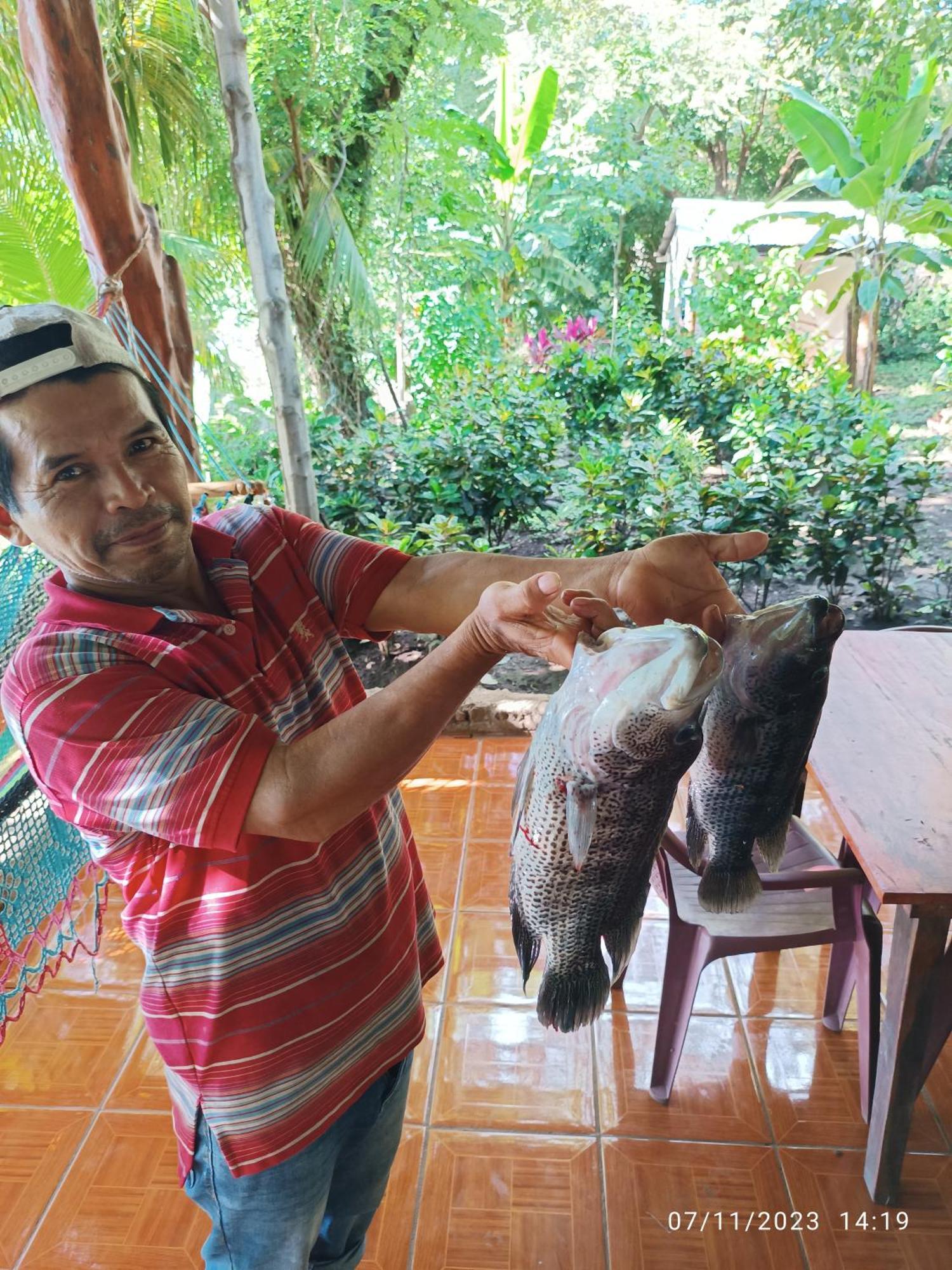 Hostel La Gloria Ometepe ภายนอก รูปภาพ