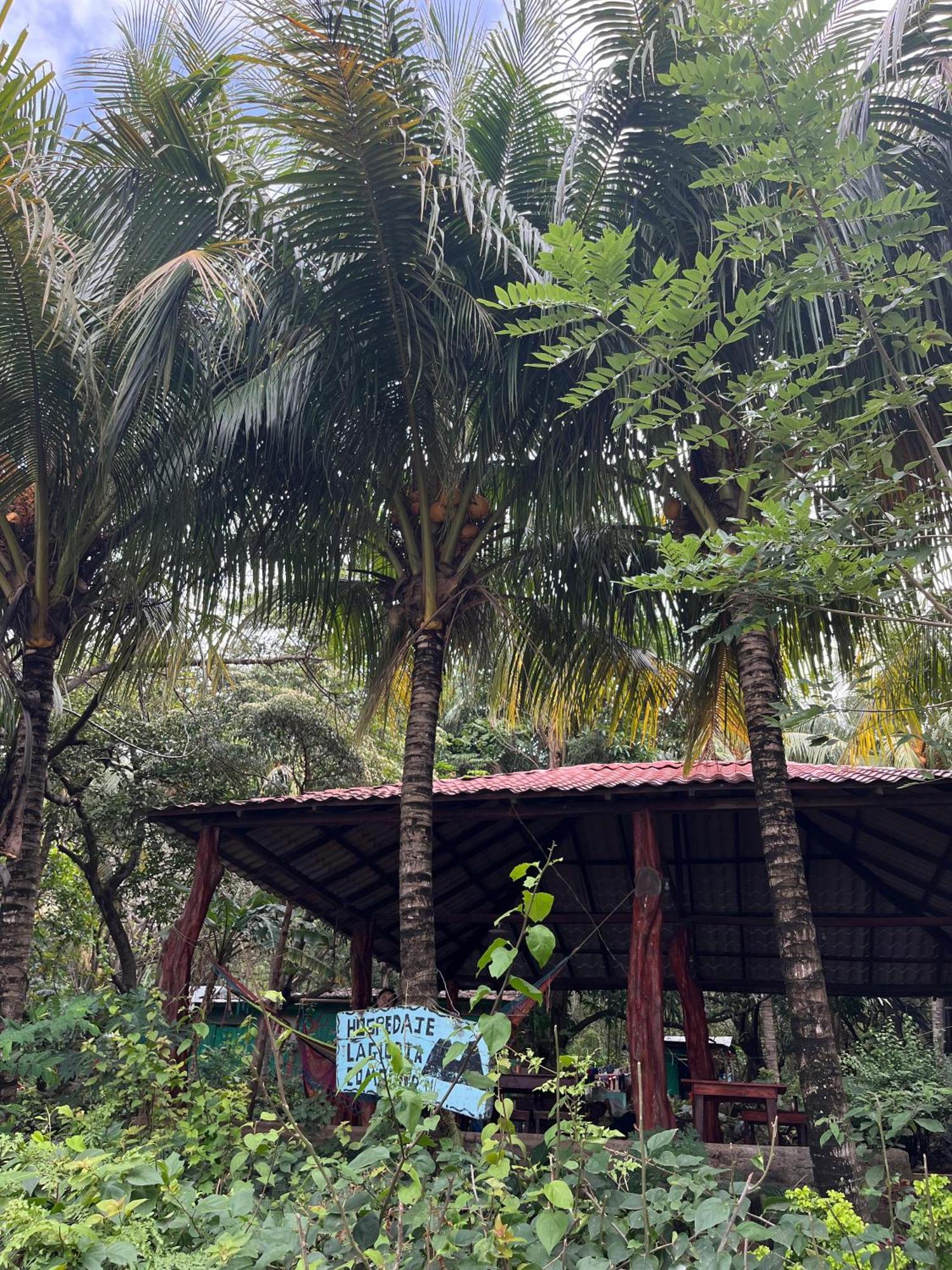 Hostel La Gloria Ometepe ภายนอก รูปภาพ